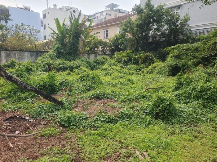 Bán Nhanh Mảnh Đất MT Dương Công Khi Tân Hiệp Hóc Môn 2368m2 Chỉ 60 Tỷ - Ảnh 1